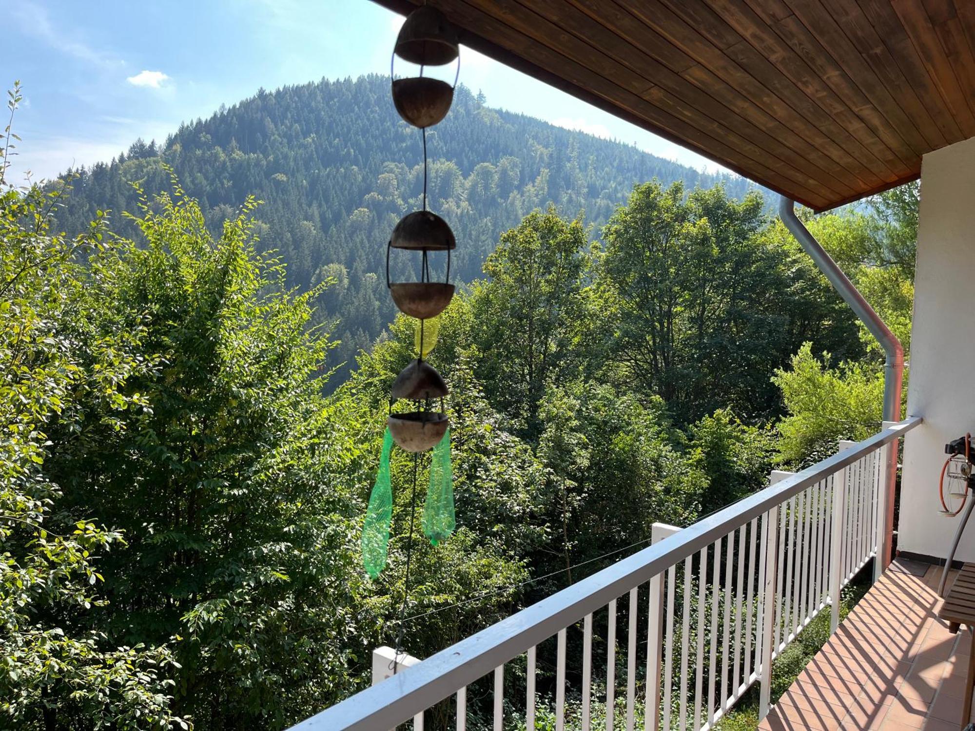 Waldhaus Max Apartman Bad Wildbad Kültér fotó